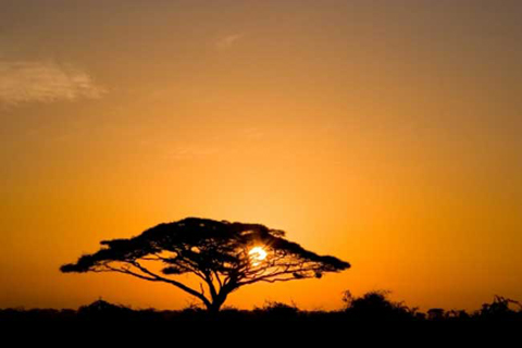 Picture 4 of 10 mysteries about humankind