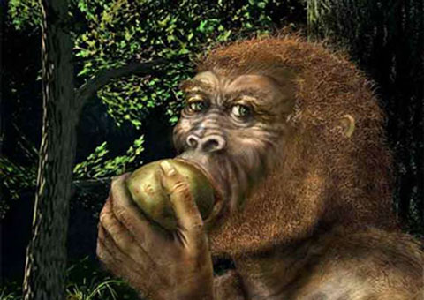 Picture 5 of 10 mysteries about prehistoric humans