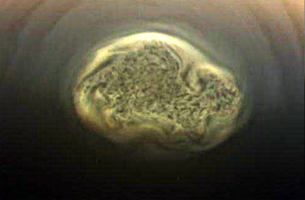 Picture 4 of 10 mysteries in the solar system that scientists have not yet explained (1)