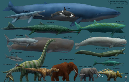 Picture 2 of 10 mysteries make scientists lose