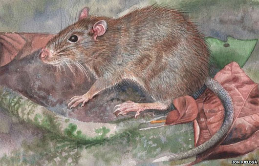 Picture 4 of 10 newly discovered animals