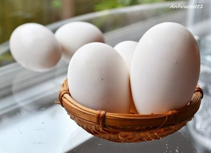 Picture 5 of 10 not right concepts when eating eggs