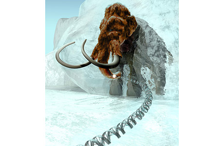 Picture 8 of 10 outstanding scientific discoveries in 2008