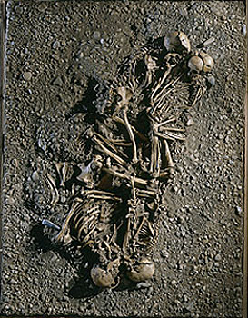 Picture 9 of 10 outstanding scientific discoveries in 2008