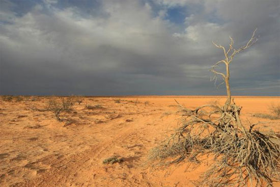 Picture 9 of 10 places you should go before it disappears