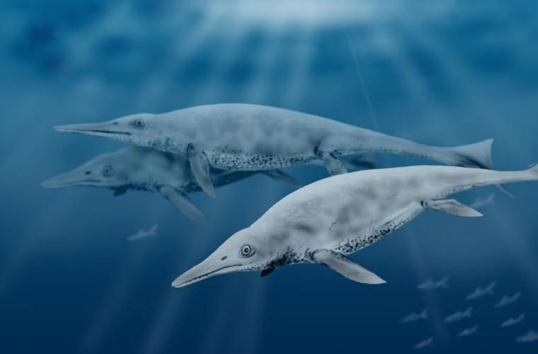 Picture 1 of 10 prehistoric monsters cause horrors at sea