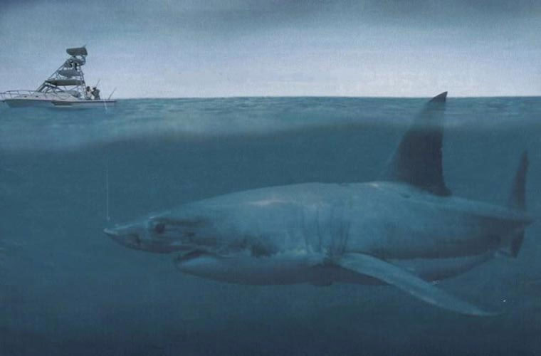 Picture 10 of 10 prehistoric monsters cause horrors at sea