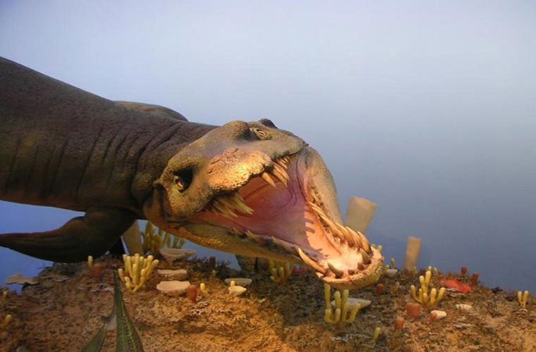 Picture 2 of 10 prehistoric monsters cause horrors at sea