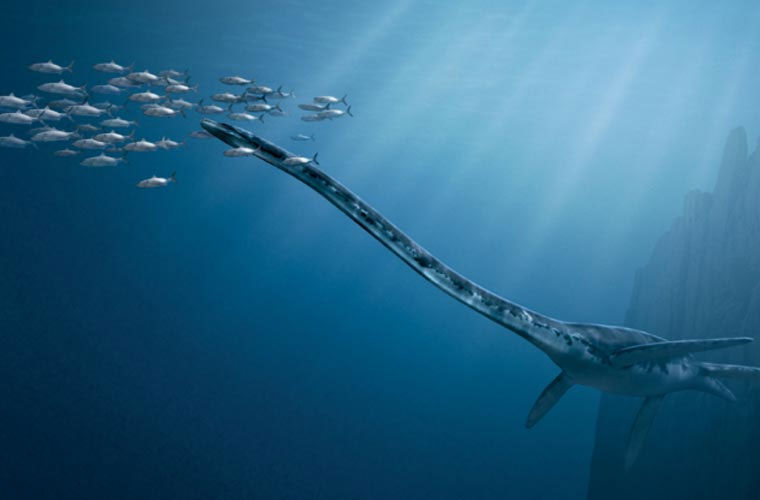 Picture 3 of 10 prehistoric monsters cause horrors at sea