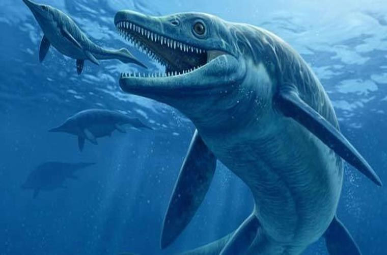 Picture 6 of 10 prehistoric monsters cause horrors at sea
