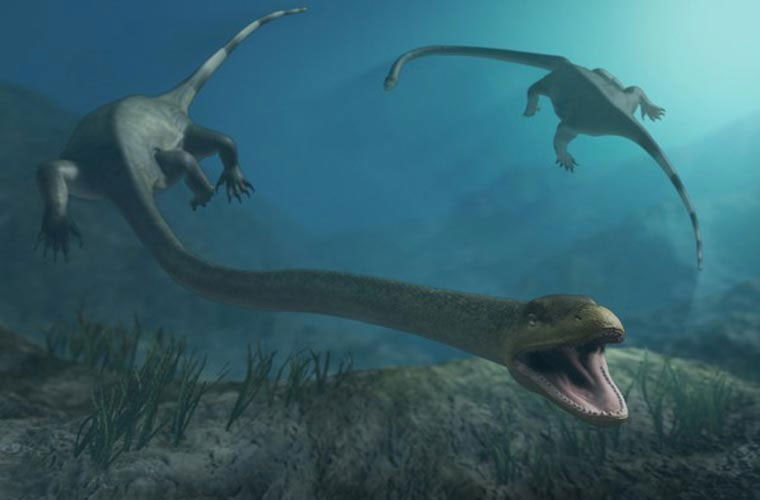 Picture 7 of 10 prehistoric monsters cause horrors at sea