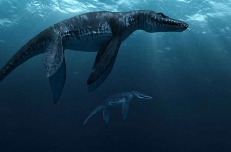 Picture 8 of 10 prehistoric monsters cause horrors at sea