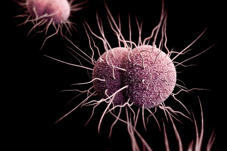 Picture 9 of 10 reasons why antibiotic resistance is scary right now