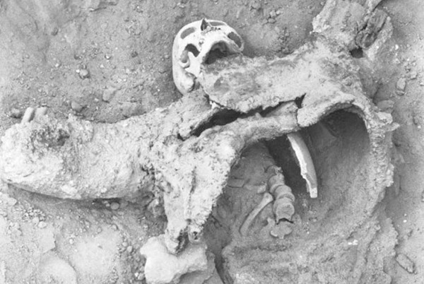 Picture 8 of 10 scary weapons and tactics in ancient war
