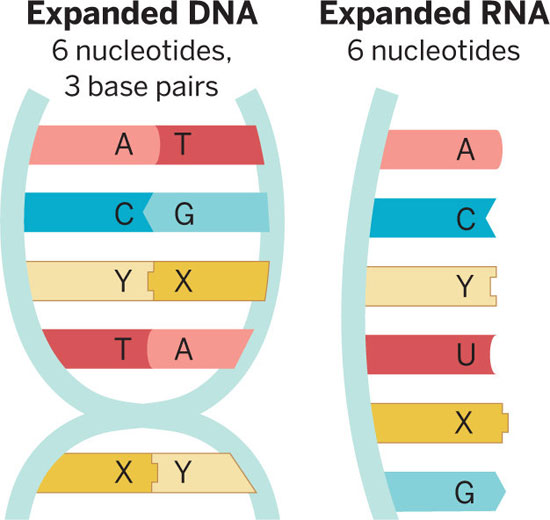 Picture 10 of 10 scientific breakthroughs in 2014
