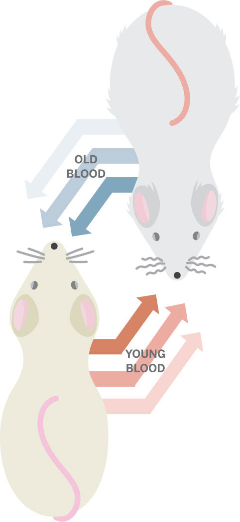Picture 3 of 10 scientific breakthroughs in 2014
