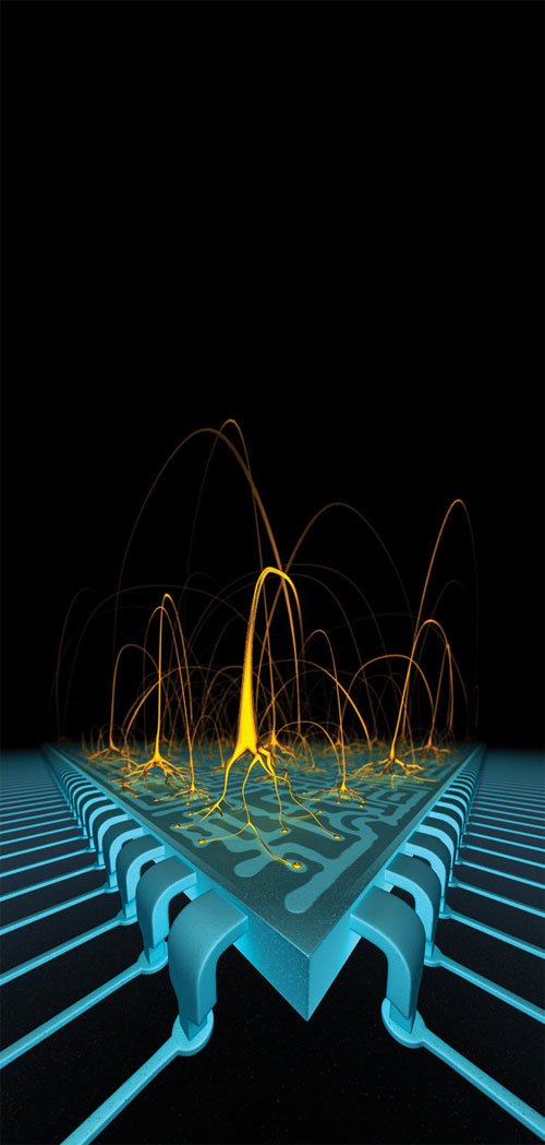 Picture 5 of 10 scientific breakthroughs in 2014