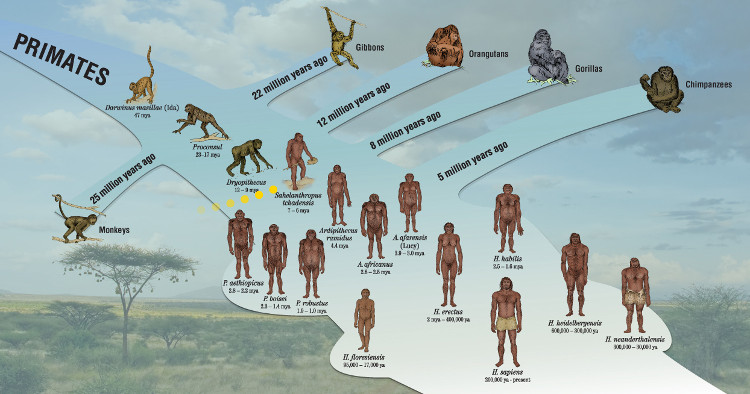 Picture 4 of 10 scientific mysteries are challenging people