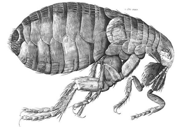 Picture 2 of 10 scientific pictures that change the way you look at the world
