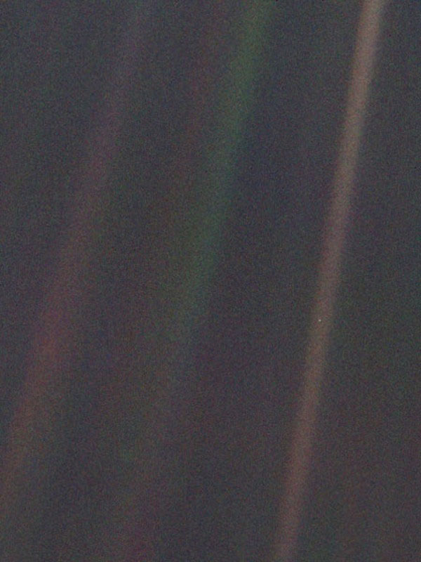 Picture 8 of 10 scientific pictures that change the way you look at the world