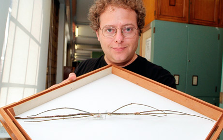 Picture 2 of 10 species of new discoveries are most prominent