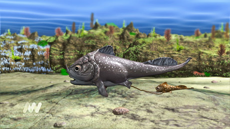 Picture 8 of 10 species of new discoveries are most prominent