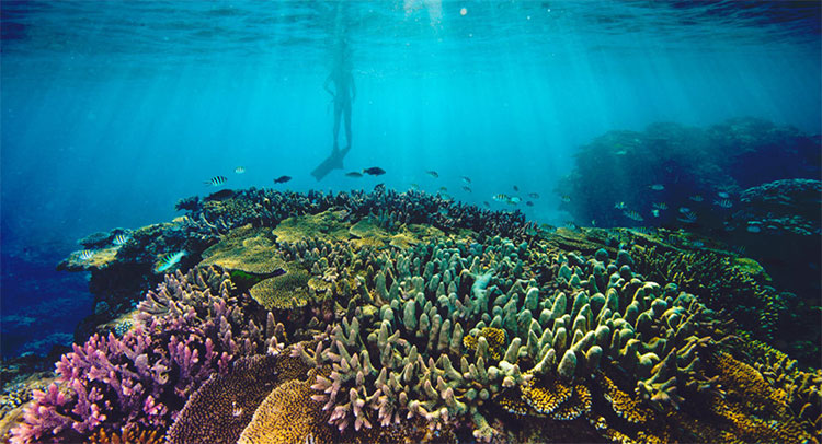 Picture 10 of 10 spectacular destinations are about to disappear on Earth