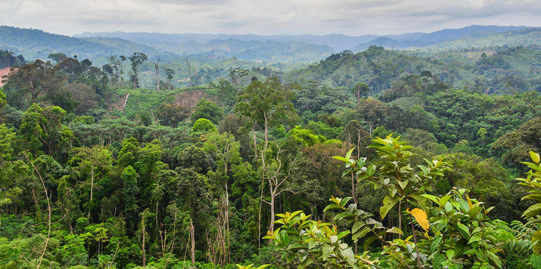 Picture 7 of 10 spectacular destinations are about to disappear on Earth