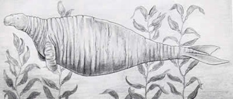 Picture 4 of 10 strange extinct animals