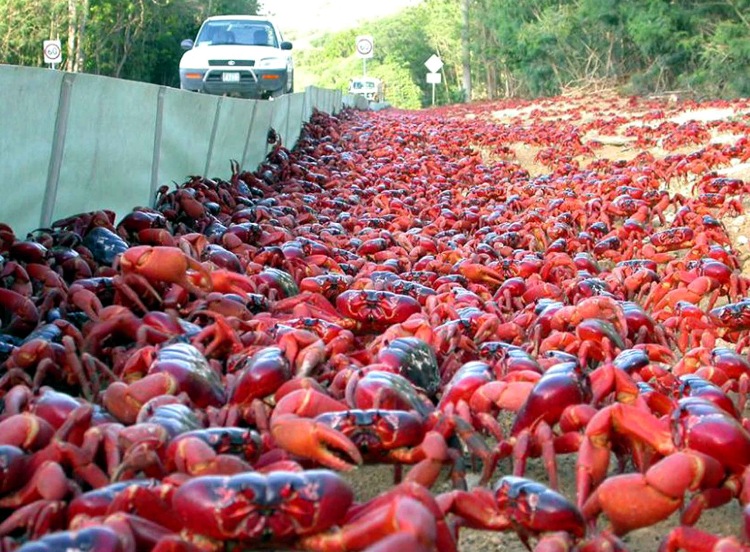 Picture 1 of 10 strange things happen every day without you knowing