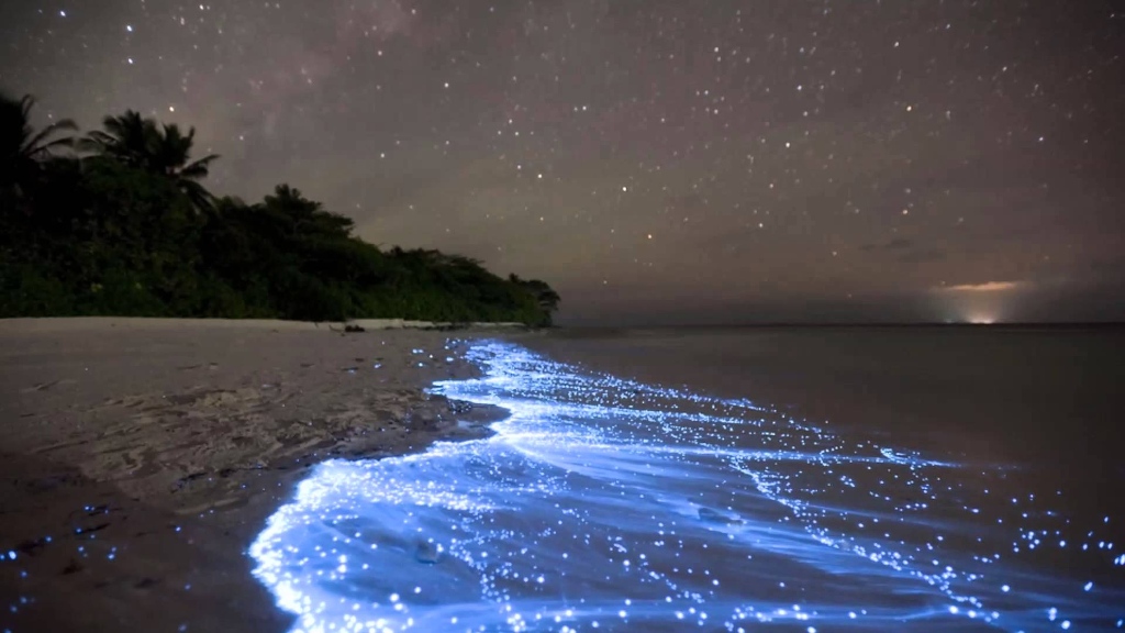 Picture 8 of 10 strange things happen every day without you knowing
