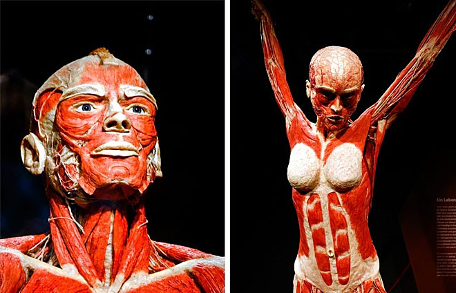 Picture 1 of 10 super abilities of the human body
