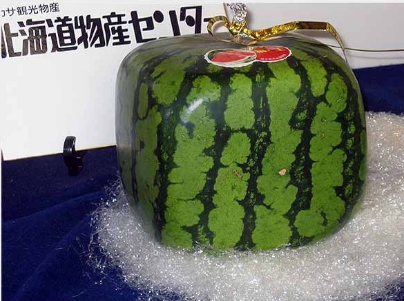 Picture 6 of 10 super expensive fruits in the world