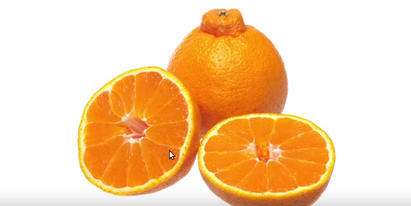 Picture 7 of 10 super expensive fruits in the world