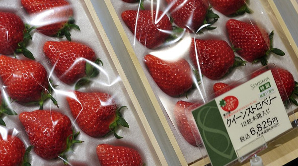 Picture 9 of 10 super expensive fruits in the world