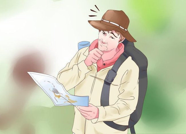 Picture 1 of 10 survival skills for lost forest goers