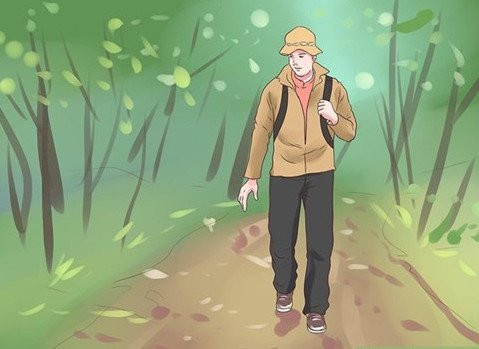 Picture 10 of 10 survival skills for lost forest goers