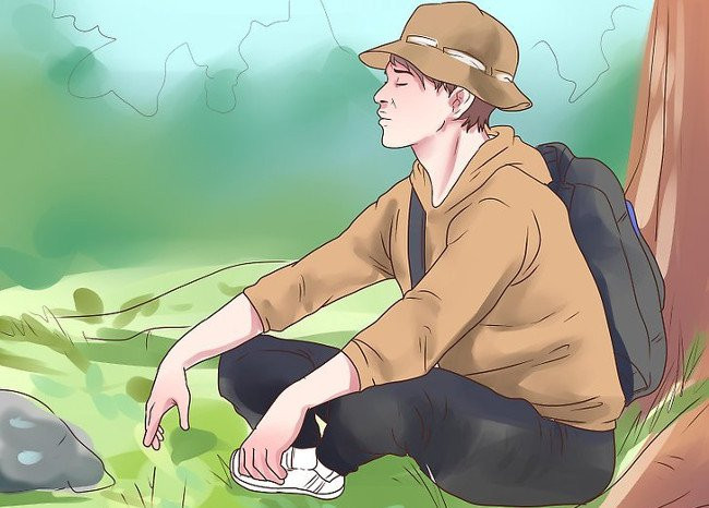 Picture 7 of 10 survival skills for lost forest goers