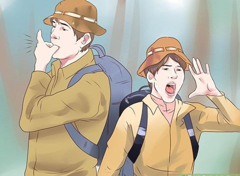 Picture 9 of 10 survival skills for lost forest goers