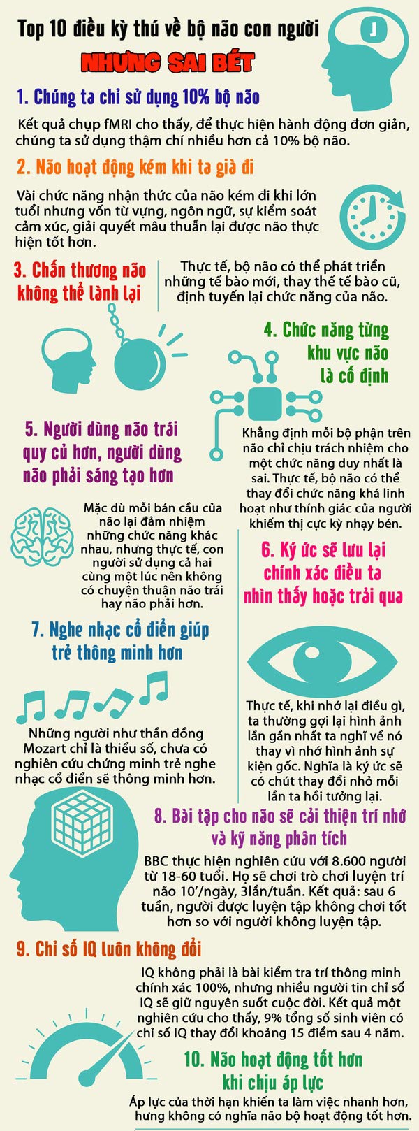 Picture 1 of 10 things 'interesting but wrong' about the human brain