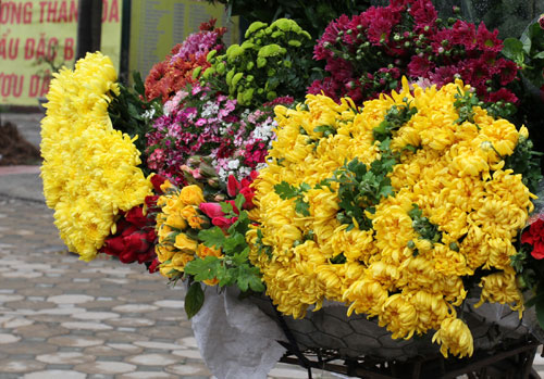 Picture 2 of 10 types of flowers often plugged in the family of the North of New Year