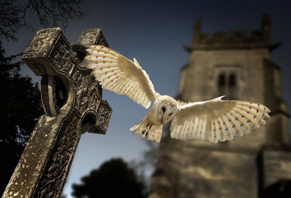 Picture 2 of 10 types of superstition about the dead are extremely difficult to understand