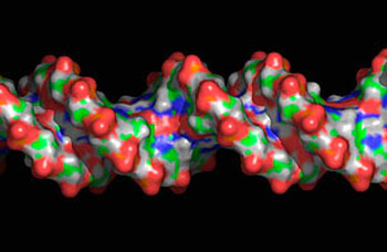 Picture 2 of 10 typical scientific discoveries in 2009