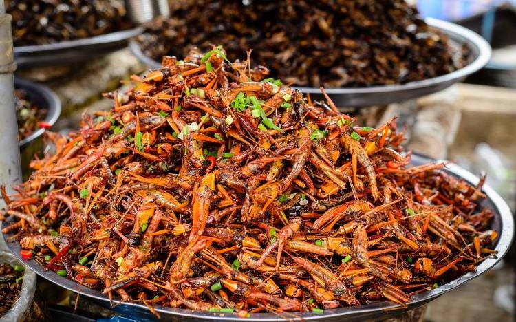 Picture 5 of 10 unique specialties of the land of thousands of Kon Tum