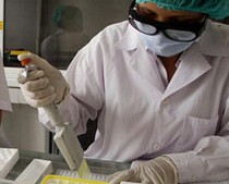 Picture 1 of 10 Vietnamese science and technology events in 2008
