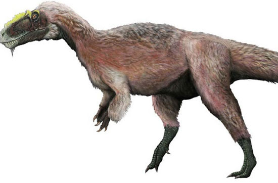 Picture 10 of 10 weird, hard to imagine dinosaurs