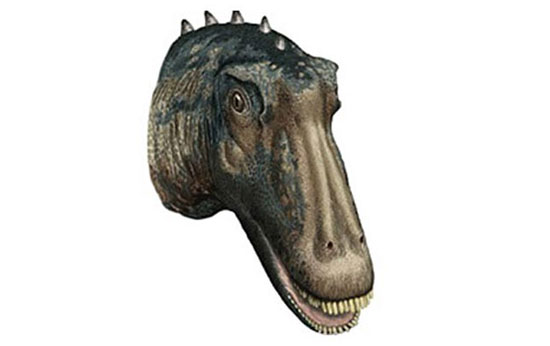 Picture 5 of 10 weird, hard to imagine dinosaurs