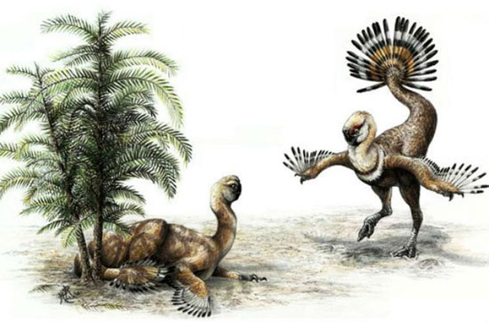 Picture 6 of 10 weird, hard to imagine dinosaurs