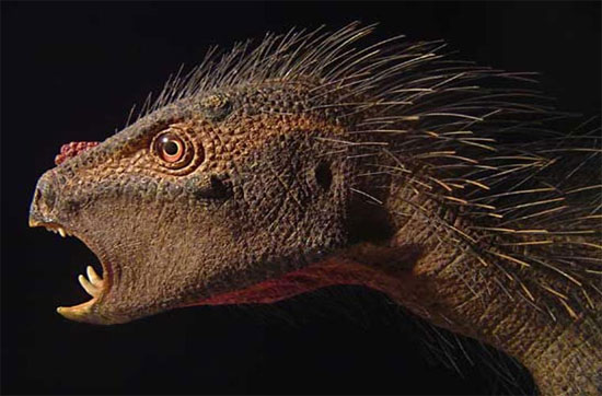 Picture 7 of 10 weird, hard to imagine dinosaurs