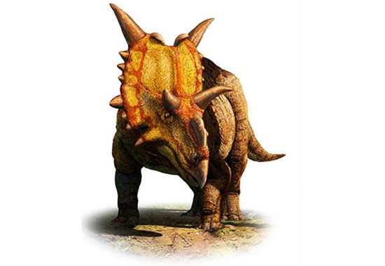 Picture 9 of 10 weird, hard to imagine dinosaurs
